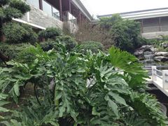 桃园一品-桃园盛宴·岭南粤菜·手工茶点(南庄店)