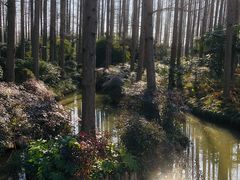 -上海怡沁园度假酒店