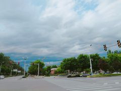 -锦尚阁烤鱼(望京新荟城店)