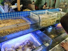 -梅园国际大酒店·自助餐厅(光明港店)