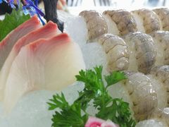 瀨尿蝦刺身-嘉升大排档(番禺总店)