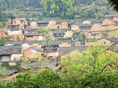 -杨家堂村