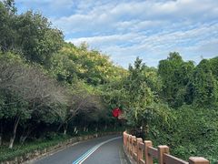 -杭州半山国家森林公园