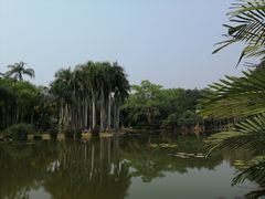-中国科学院西双版纳热带植物园