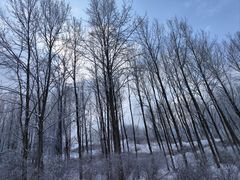 -太子岭滑雪场