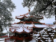 -颐和园