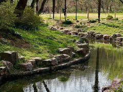 -上海共青森林公园