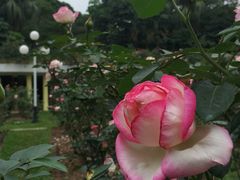 -人民公园(罗湖区)