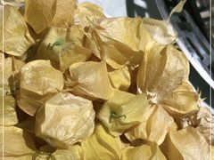 -海天盛宴新派海鲜自助餐厅(群力店)