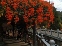 -灵光寺