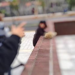 -花开映像儿童摄影