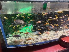 -太平洋海底世界