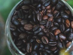 -昕艺咖啡(鼎城国际旗舰店)