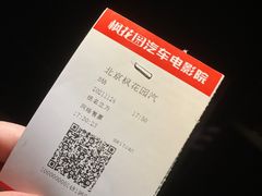 -枫花园汽车电影院(朝阳公园店)