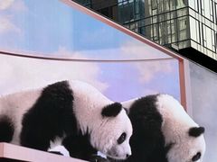 -成都太古里IFS国金中心亚朵X酒店