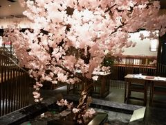 -提香日本料理