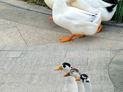 -城市运动公园(未央区)
