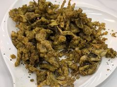 -马旭土鸡焖花卷新疆菜大盘鸡·真域顺西域美食(天马大道店)