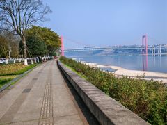 -张坝桂圆林公园