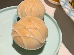 -新兴·金羊座·粤菜点心(乐峰店)