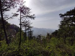 -沂蒙山旅游区云蒙景区(蒙山国家森林公园)