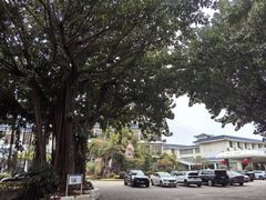 -厦门悦华酒店