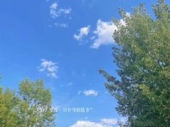-东郊湿地公园