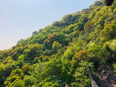 -杭州半山国家森林公园