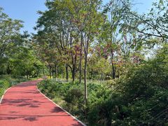 -绿堤公园