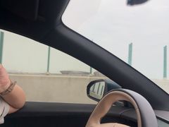 -大湾区中央湿地公园