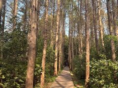 -同里国家湿地公园