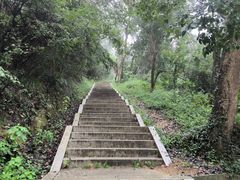 -青龙山国家森林公园