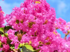 -杭州城北体育公园