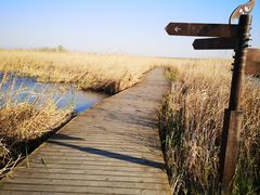 -盐城丹顶鹤湿地生态旅游区