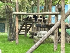 -上海野生动物园