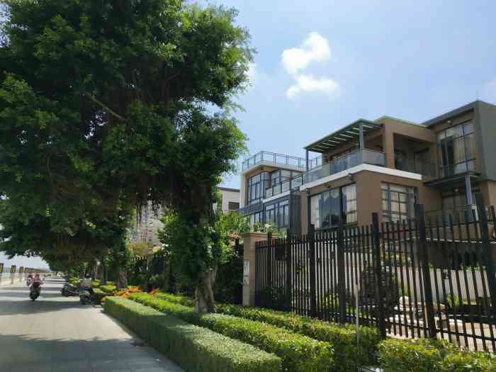 吴川第一城-"还真是讨厌吴川的的交通啊,电动车各种乱穿.