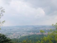 -紫金山山顶公园