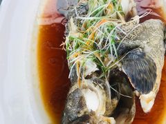 -頂好酒家·经典粤菜(海信广场店)
