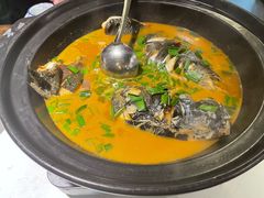 千岛湖鱼头-千岛湖小鱼儿·淳安匠心农家菜