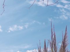 -杭州植物园