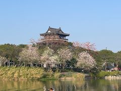 -海珠湖公园