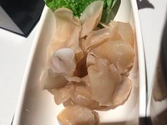 -丹尼斯7天地