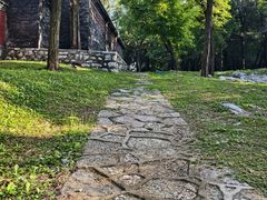 -原山国家森林公园