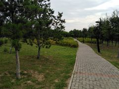 -洨河生态公园