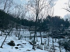 -藏龙百瀑风景区