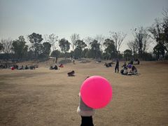 -盘龙城国家考古遗址公园