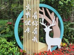 -莲花山公园