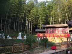 -宁波浙东大竹海景区