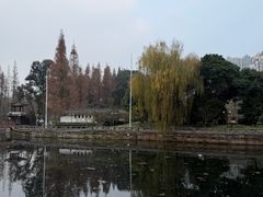 -温江公园