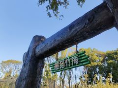 -武汉动物园